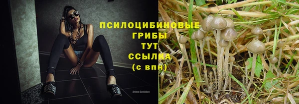 экстази Алексеевка