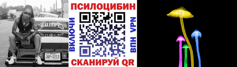 Псилоцибиновые грибы мухоморы  Купить где  Дзержинск 